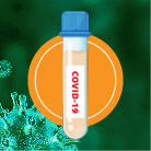 COVID-19 Screening Test Service